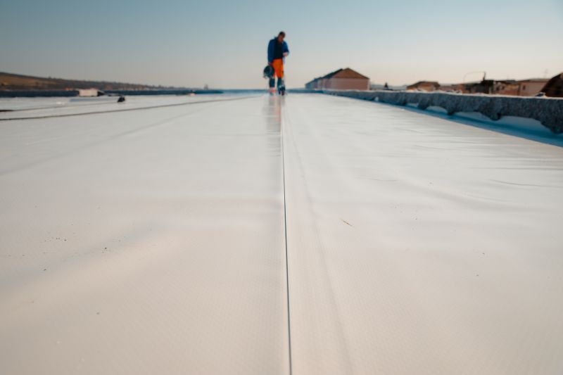 Flat Roof Inspection in Spring