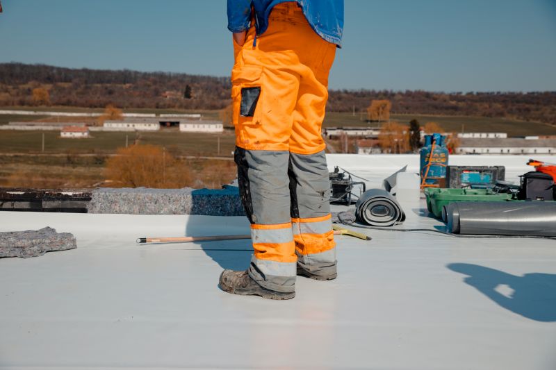 Inspection of Flat Roofs