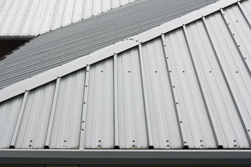 Tin Roof Installation in Alexandria, VA